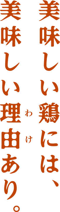 クラブのような非日常空間で楽しむダーツ＆パーティー！